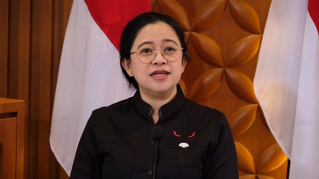 Puan Ungkap Alasan Tak Hadir Temui Botok Pati Cs di Gedung DPR