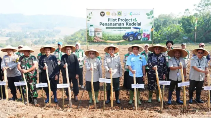 Kemenko Pangan Mulai Proyek Percontohan Kedelai 25 Hektare di Cariu, Target Diperluas pada 2027